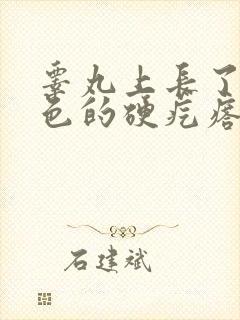 睾丸上长了个白色的硬疙瘩