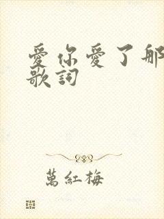 爱你爱了那么久歌词