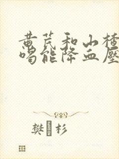 黄芪和山楂泡水喝能降血压吗
