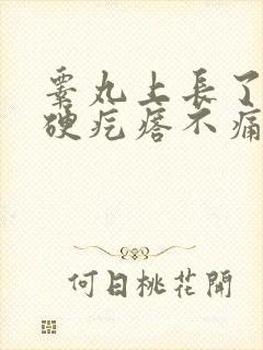 睾丸上长了个小硬疙瘩不痛不痒封面