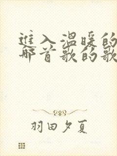 进入温暖的你是哪首歌的歌词