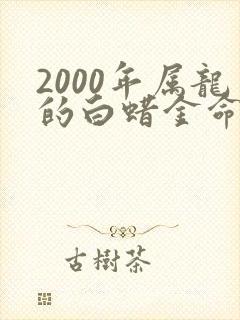 2000年属龙的白蜡金命怎么样