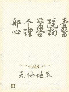 哪个医院青少年心理咨询医院比较好
