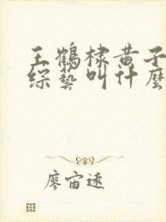 王鹤棣黄子韬新综艺叫什么封面