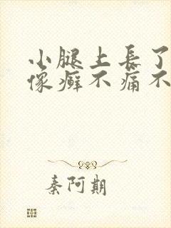 小腿上长了一块像癣不痛不痒