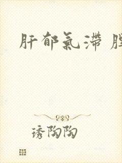 肝郁气滞 脾虚
