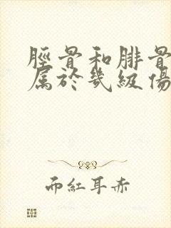 胫骨和腓骨骨折属于几级伤残