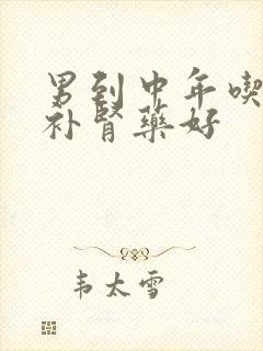 男到中年吃什么补肾药好