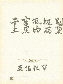 子宫低级别鳞状上皮内病变是什么意思封面