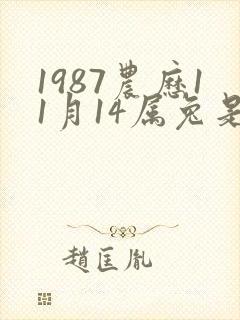 1987农历11月14属兔是什么命