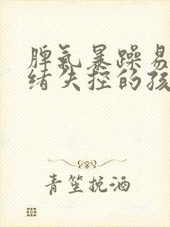 脾气暴躁易怒情绪失控的孩子
