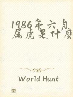 1986年六月属虎是什么命