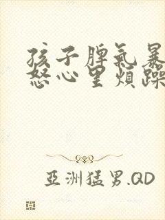 孩子脾气暴躁易怒心里烦躁封面