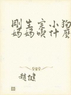 刚生完小狗的狗妈妈吃什么下奶