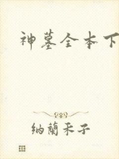 神墓全本下载