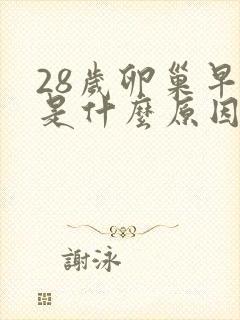 28岁卵巢早衰是什么原因引起的封面