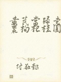 黄芪当归党参红枣枸杞桂圆泡水喝的功效
