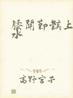 膝关节髌上囊积水