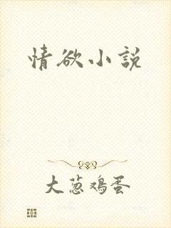 情欲小说封面