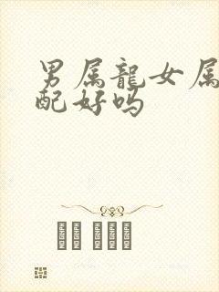 男属龙女属虎婚配好吗封面