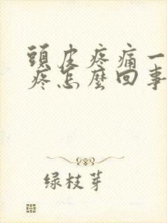 头皮疼痛一摸就疼怎么回事封面
