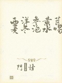 西洋参黄芪党参麦冬泡水喝的功效
