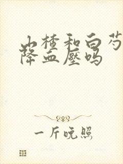 山楂和白芍泡水降血压吗