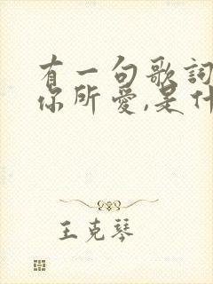 有一句歌词是爱你所爱,是什么歌的