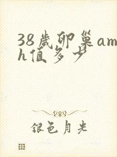 38岁卵巢amh值多少