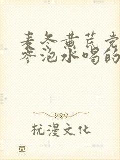 麦冬黄芪党参人参泡水喝的功效