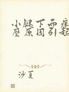 小腿下面痒是什么原因引起的