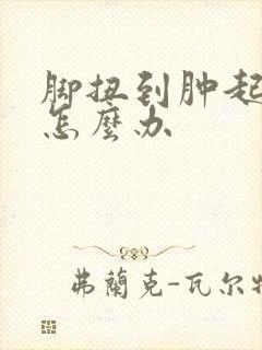 脚扭到肿起来了怎么办