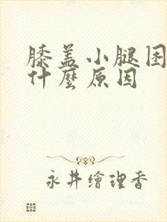 膝盖小腿困疼是什么原因封面