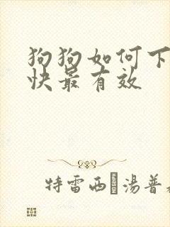 狗狗如何下奶最快最有效