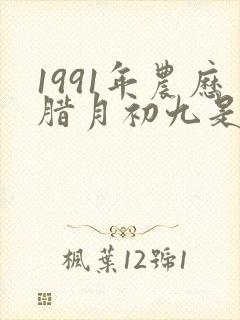 1991年农历腊月初九是什么星座封面