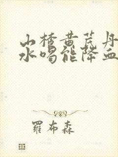 山楂黄芪丹参泡水喝能降血压吗