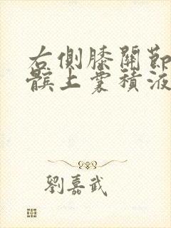 右侧膝关节腔及髌上囊积液