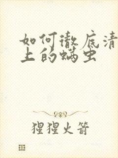 如何彻底清除床上的螨虫