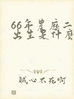 66年农历二月出生是什么命