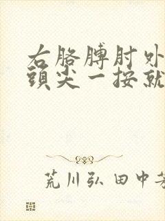 右胳膊肘外侧骨头尖一按就疼