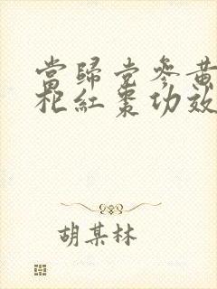 当归党参黄芪枸杞红枣功效