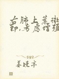 右肺上叶微小结节,考虑增殖灶怎么治