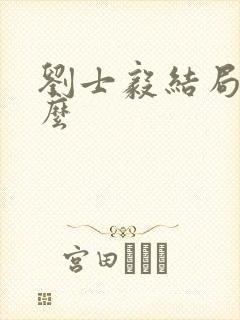 刘士毅结局是什么封面