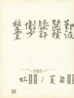 双侧膝关节髌上囊少许积液