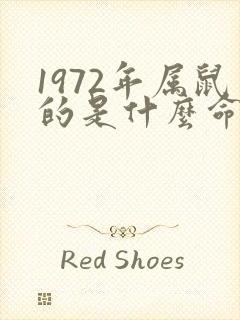 1972年属鼠的是什么命运