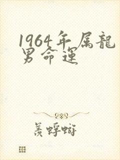 1964年属龙男命运封面