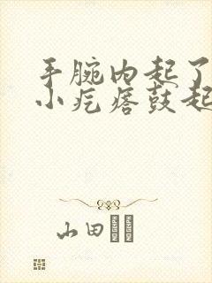 手腕内起了一个小疙瘩鼓起硬硬的