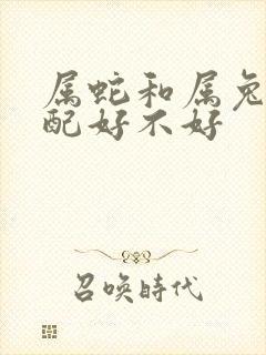 属蛇和属兔的婚配好不好