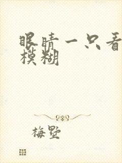 眼睛一只看东西模糊