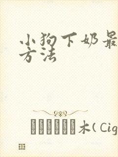 小狗下奶最快的方法